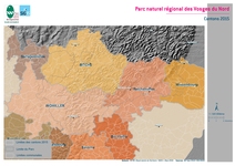 Carte 11