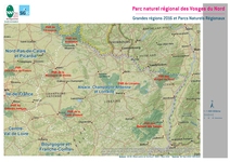 Carte 12