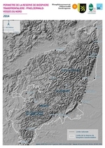 Carte 8
