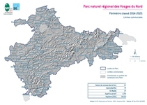Carte 4