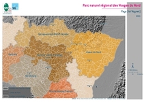 Carte 7