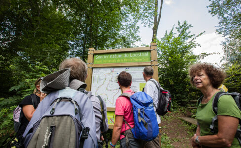 Le sentier nature du Loosthal