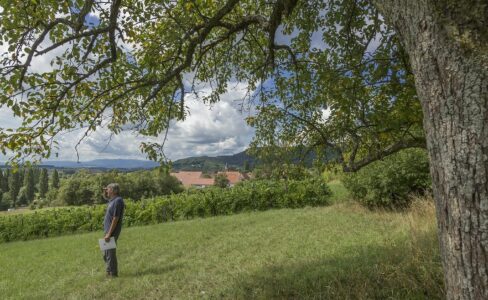 Des sanctuaires de nature