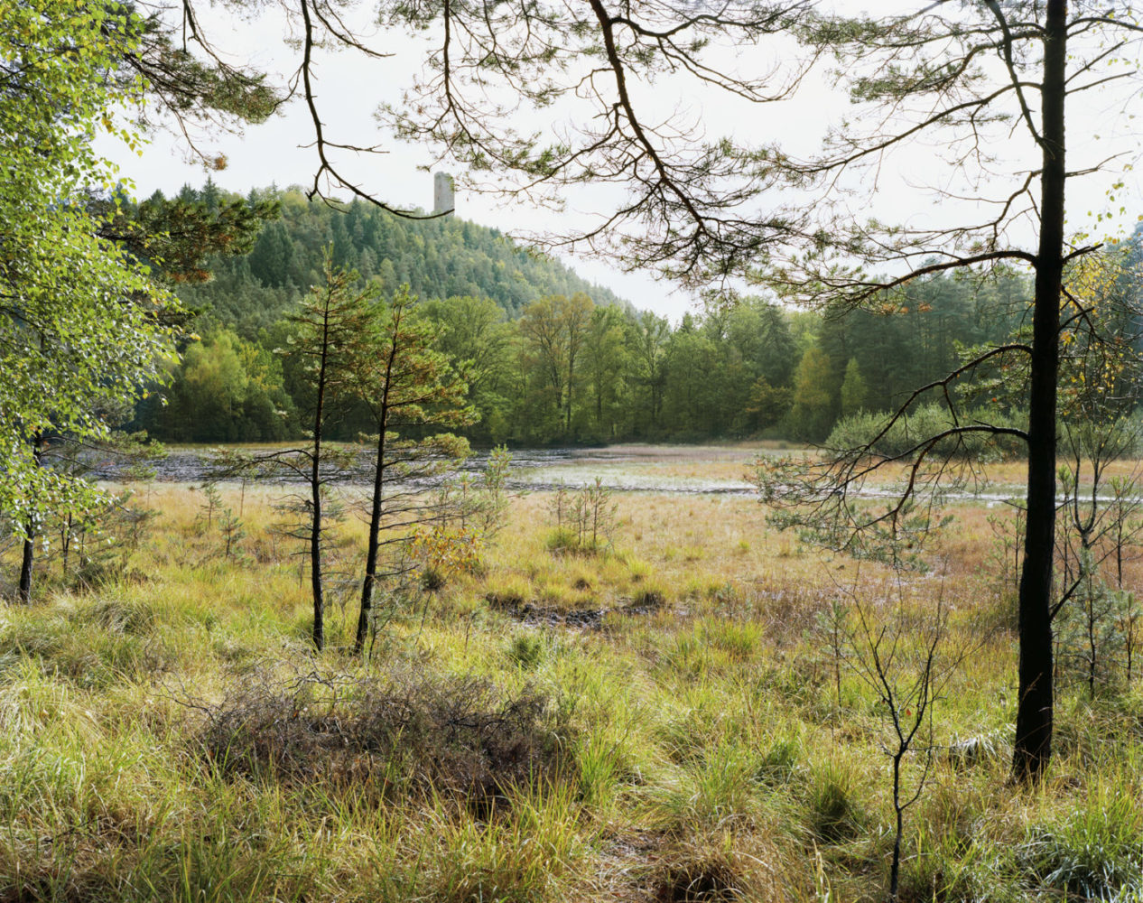 L’Observatoire Photographique du Paysage : accompagner les évolutions