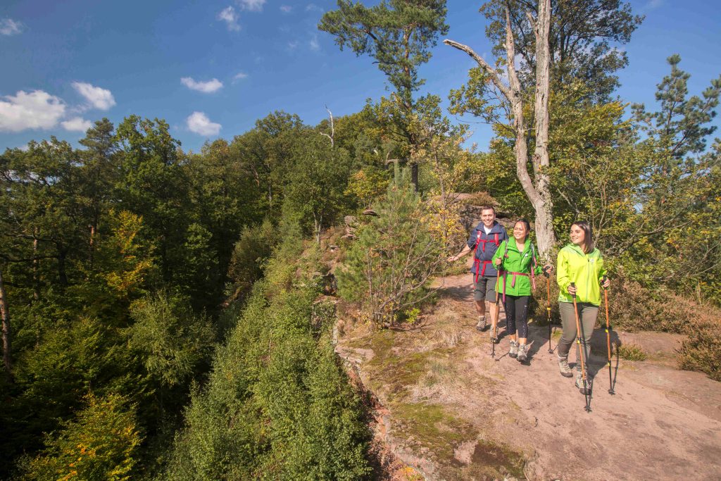 La randonnée dans les Vosges du Nord