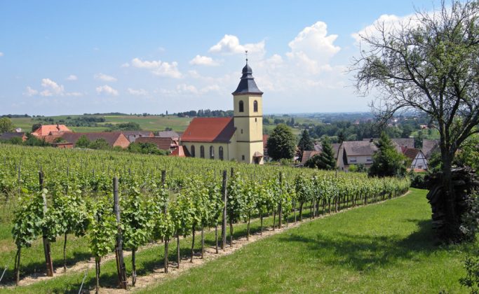 Villages pittoresques et vignoble de Cleebourg