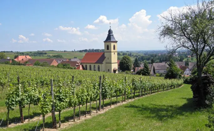 Villages pittoresques et vignoble de Cleebourg