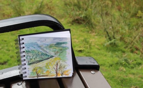Carnets, plumes et encres nature