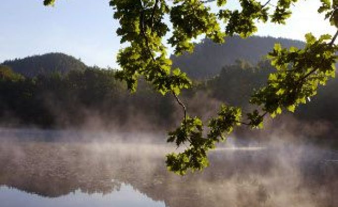 Étang de Waldeck – Réserve naturelle