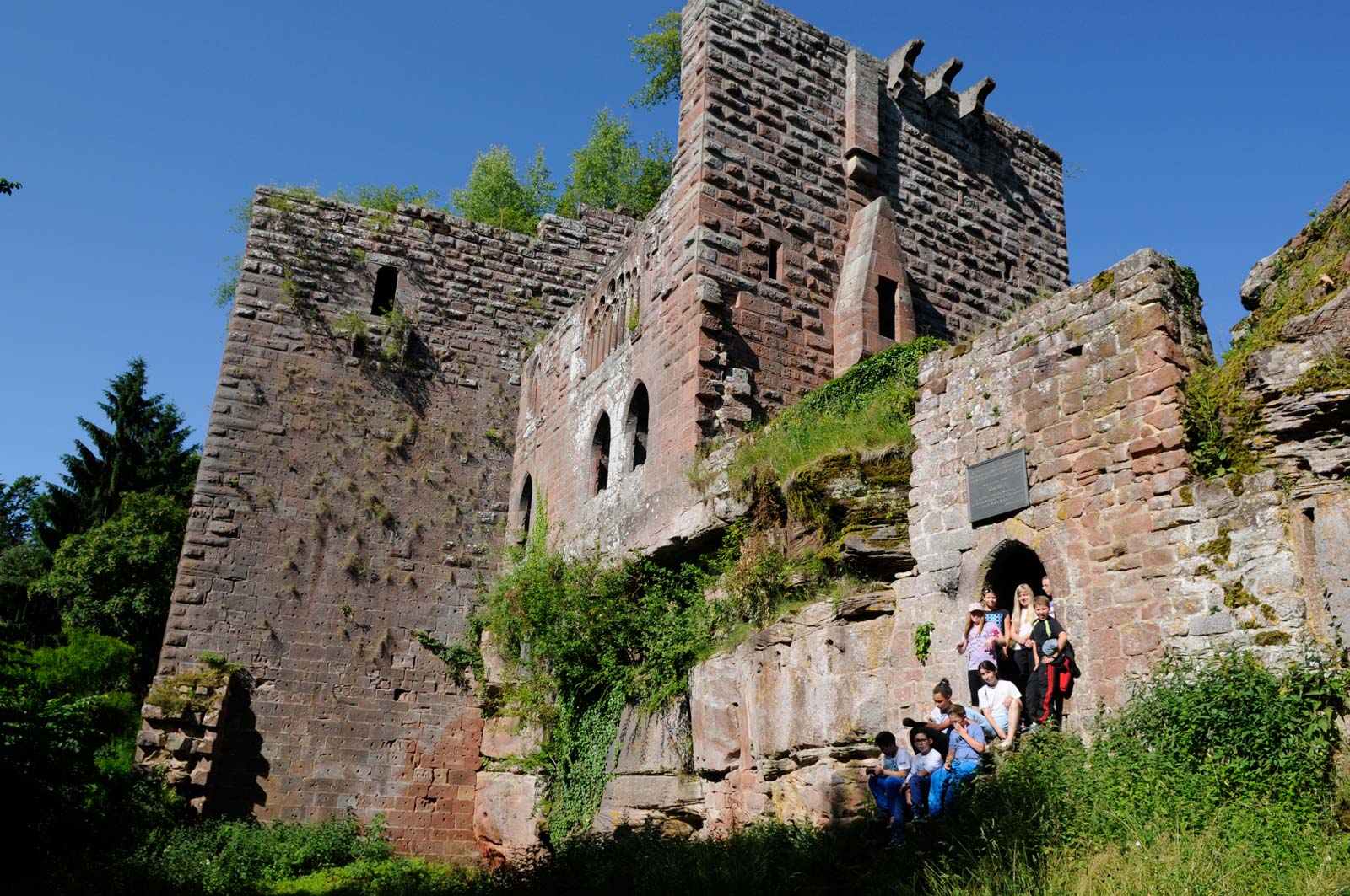 Château de la Wasenbourg - Parc naturel régional des Vosges du Nord