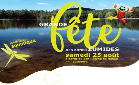 Grande fête des Zones Zumides