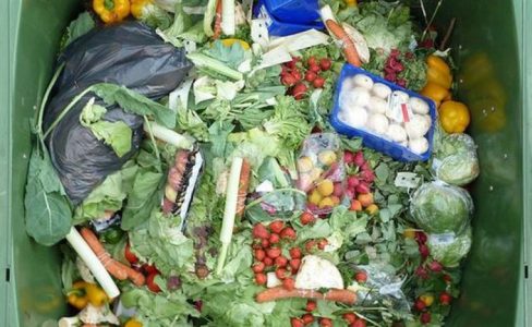 Gaspillage alimentaire