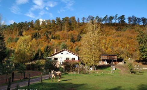 Gîte dans la vallée