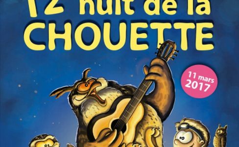 Nuit de la chouette