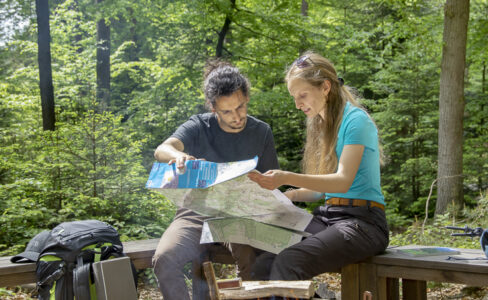 Bivouaquer dans les Vosges du Nord : une expérience insolite proposée aux randonneurs