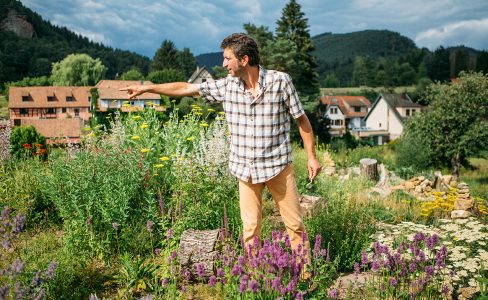 Visite guidée du jardin écologique hymenoptera