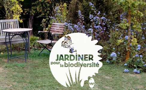 La nature grande gagnante du programme Jardiner pour la biodiversité