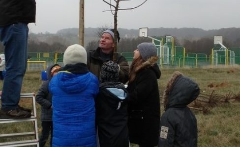 Plantation participative de fruitiers