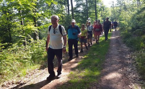 Semaine de randonnées découvertes en groupes