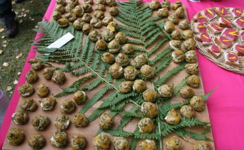 ANNULÉ : Atelier culinaire : ail ail ail