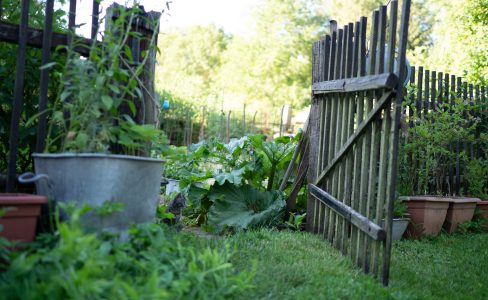 Jardiner pour la biodiversité : concours 2020