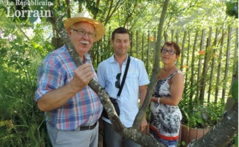 Découverte botanique et gastronomique