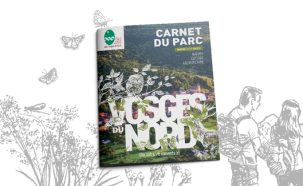 Image du slider