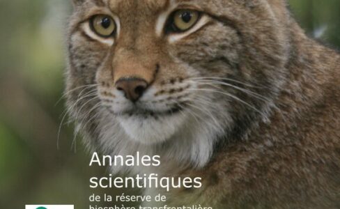 Annales scientifiques 2019-2020