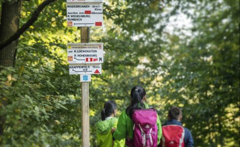 Au cœur des paysages des Vosges du Nord, partez pour une itinérance sur le GR®53 !