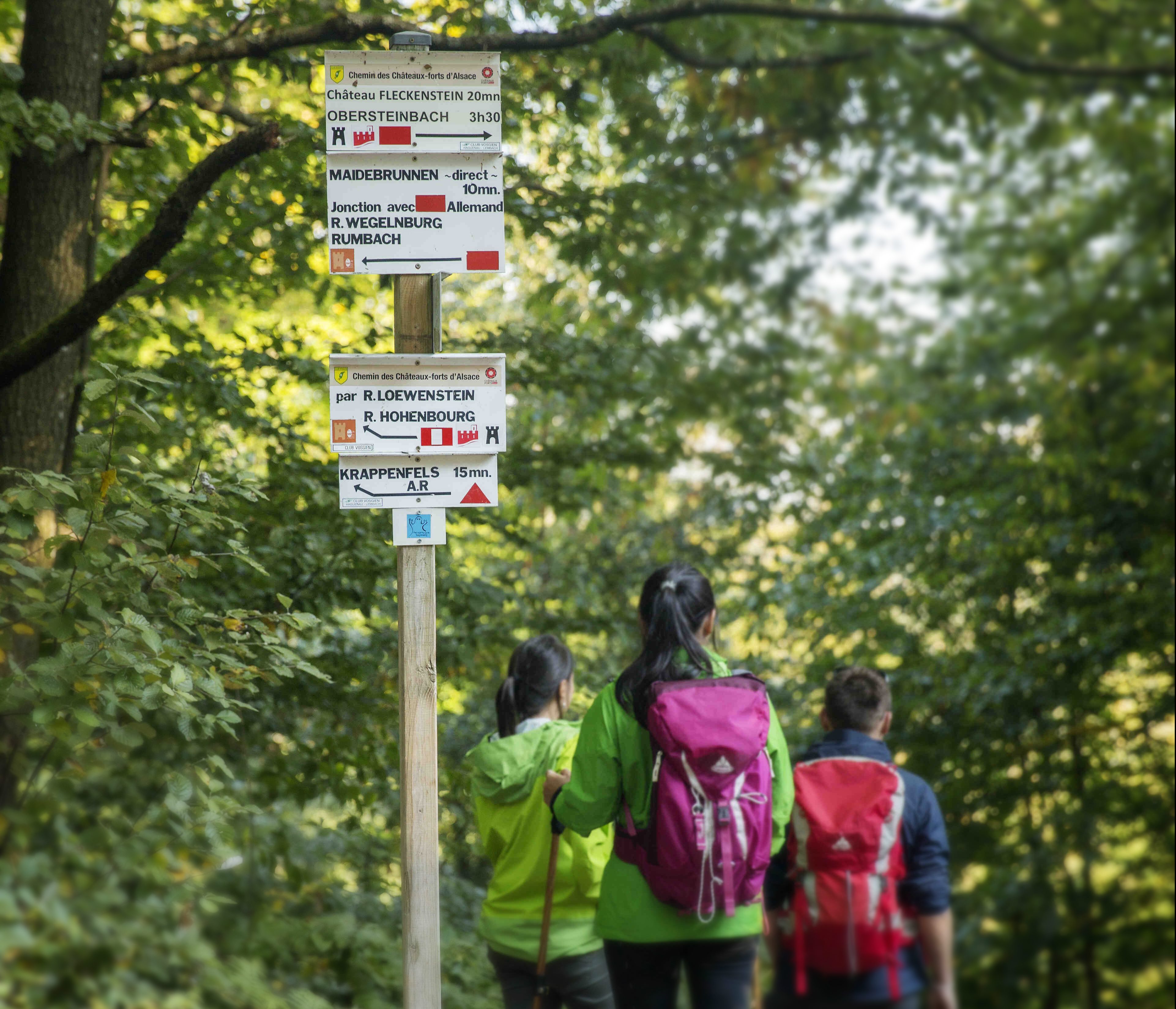 Voyage. Carte, Sac À Dos Touristique Et Panneau De Signalisation