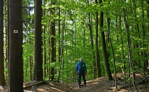 Un Plan de Paysage pour vivre et traverser les Vosges du Nord