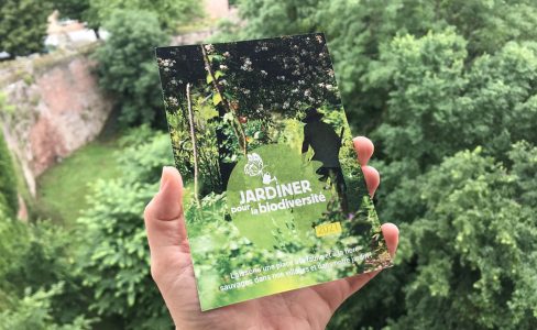 Jardiner pour la biodiversité : programme 2021