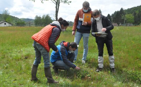 Des formations pour utiliser la typologie agroécologique des prairies