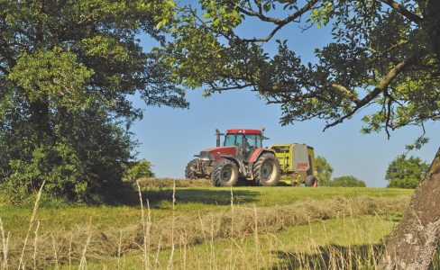 Restaurer une prairie : les bonnes recettes. Un guide est sorti !
