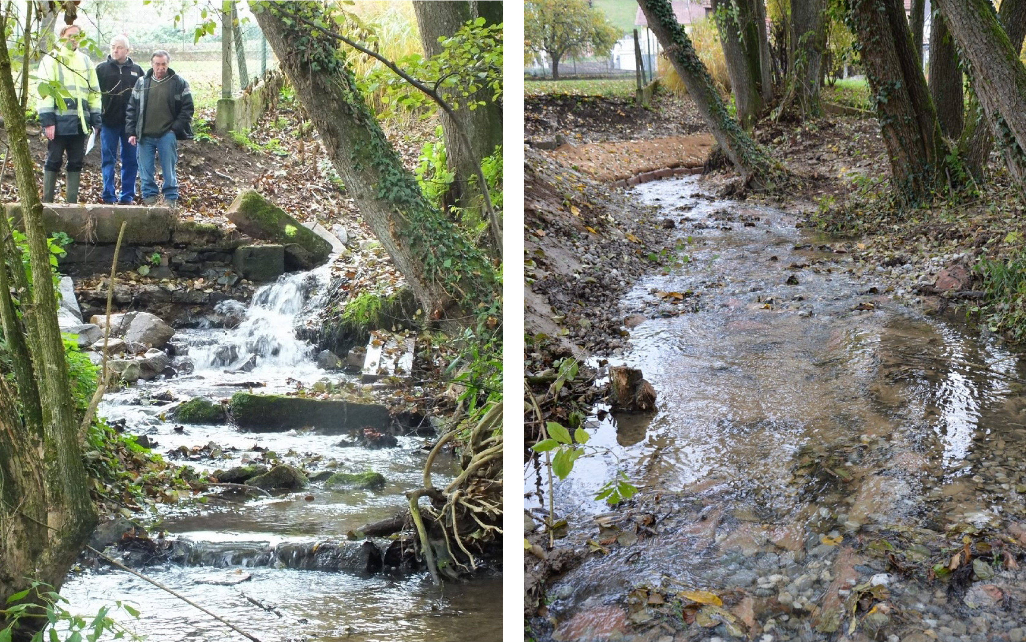 Le ruisseau de Soultzbach, avant et après la réalisation des travaux de suppression d'obstacles