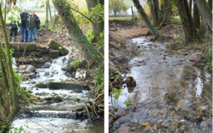 Le ruisseau de Soultzbach, avant et après travaux