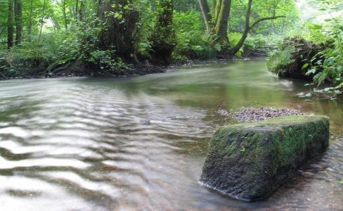 Parc naturel régional des Vosges du Nord : Par delà les frontières, l’eau