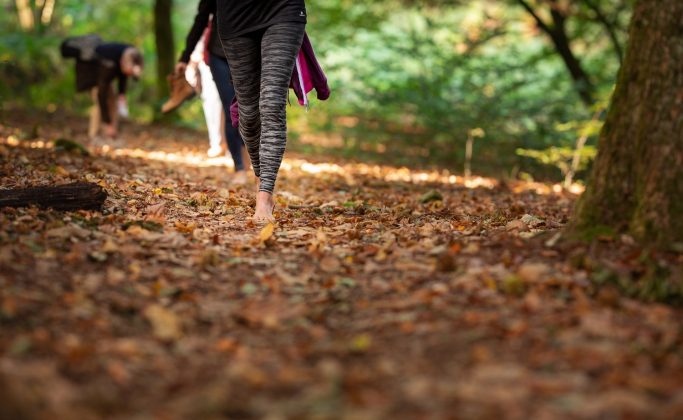 personne marchant sur des feuilles mortes en forêt