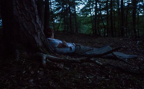 Bain de forêt nocturne