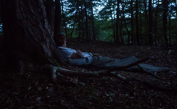 Bain de forêt nocturne