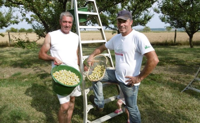 les deux frères dans leur verger