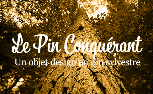 Le Pin Conquérant : designer un objet emblématique du territoire en pin sylvestre