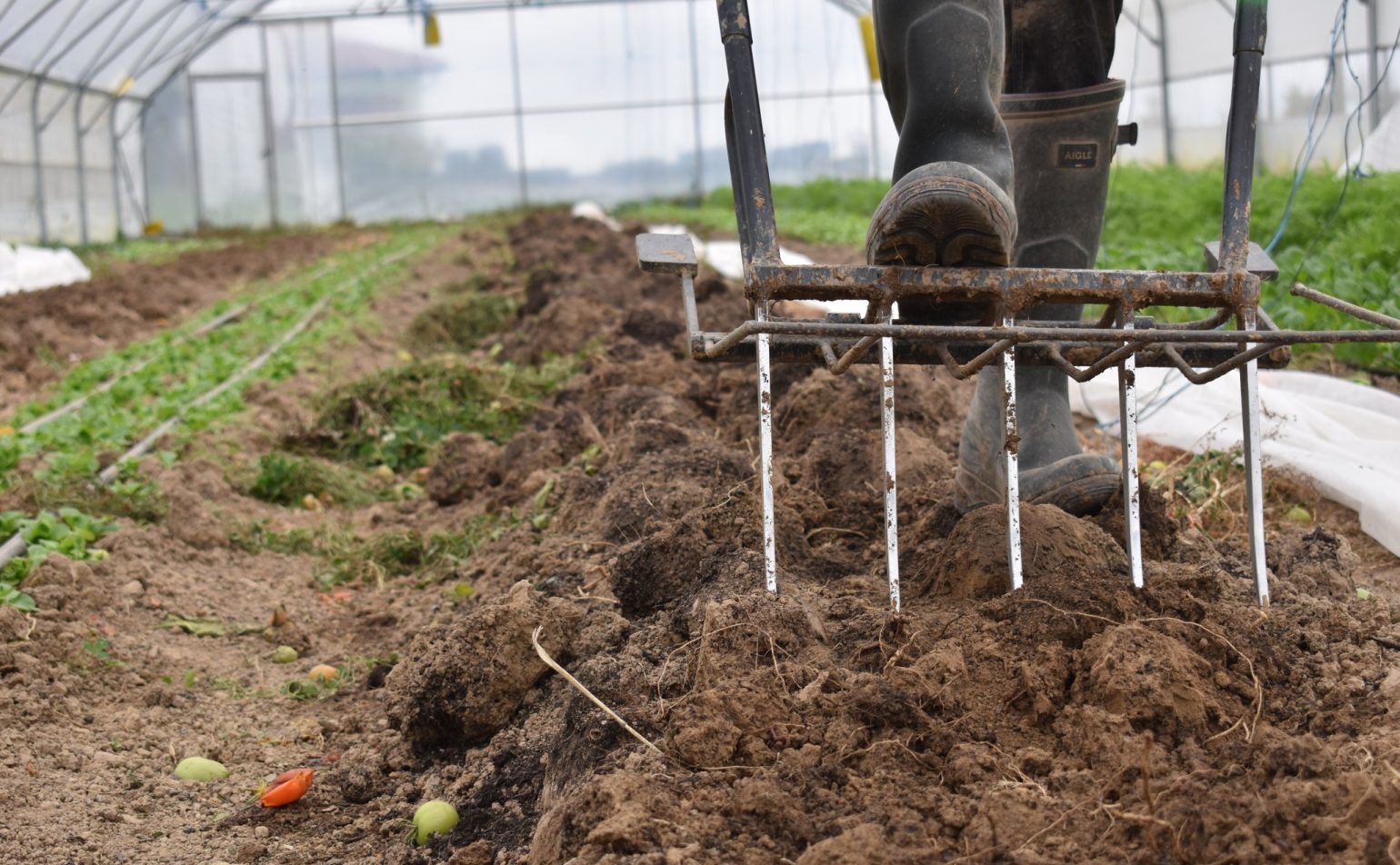 Masterclass – agriculture et jardinage – cultiver sans méthode
