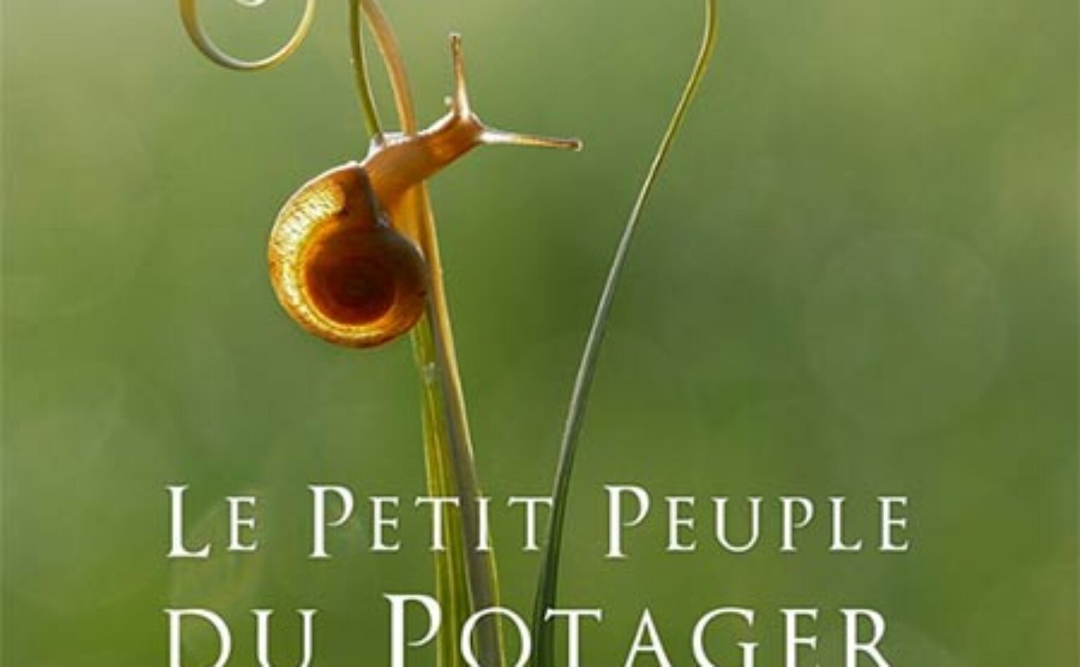 Ciné-débat : Le petit peuple du potager