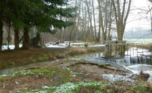 Menaces et enjeux dans les sites Natura 2000 du PNR des Vosges du Nord