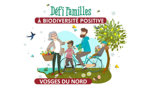 Des familles s’engagent pour plus de biodiversité dans leur quotidien