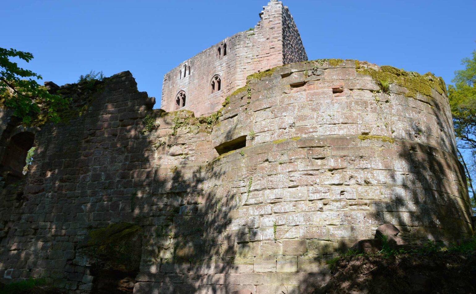 Découverte des vestiges d’un château du XIIIe siècle