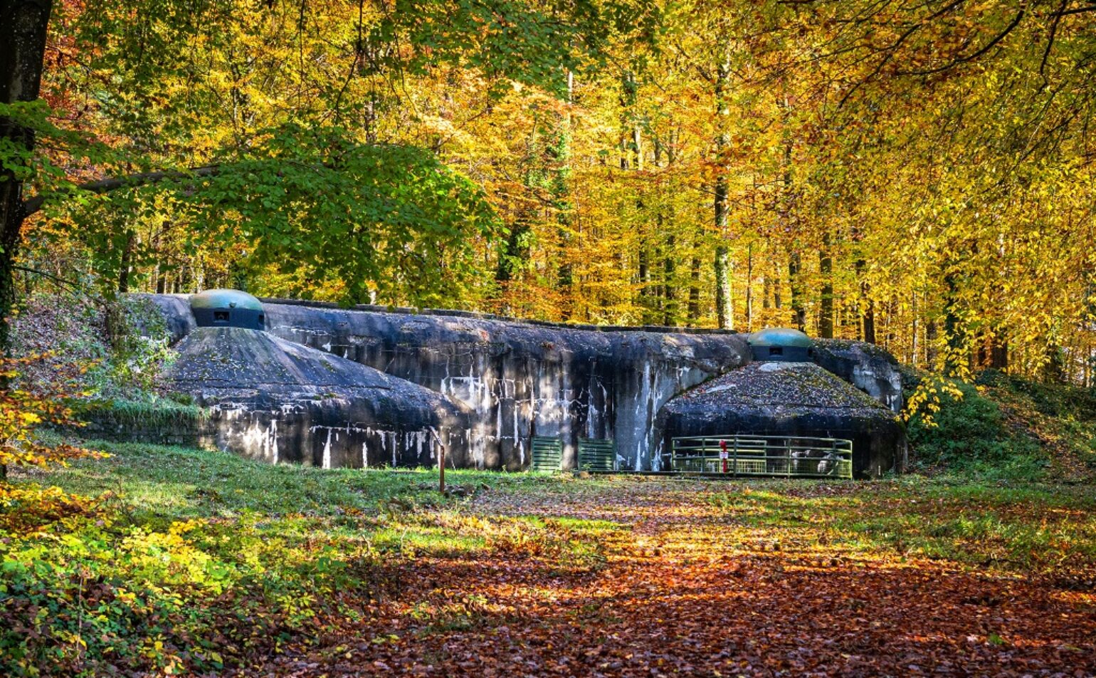 Une structure de bunker en béton est entourée d'arbres d'automne aux feuilles colorées recouvrant le sol et à la lumière du soleil filtrant à travers le feuillage.