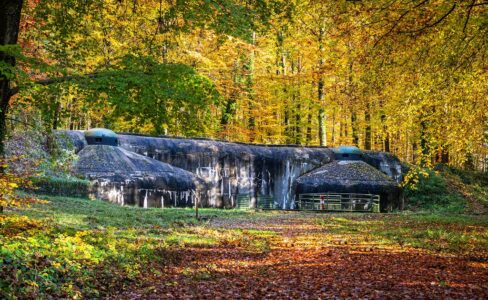 Une structure de bunker en béton est entourée d'arbres d'automne aux feuilles colorées recouvrant le sol et à la lumière du soleil filtrant à travers le feuillage.