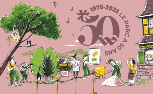 Affiche pour les 50 ans du parc des vosges du nord (1975 à 2025)